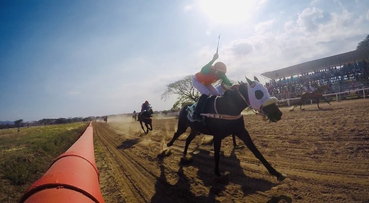 Carrera en la pista